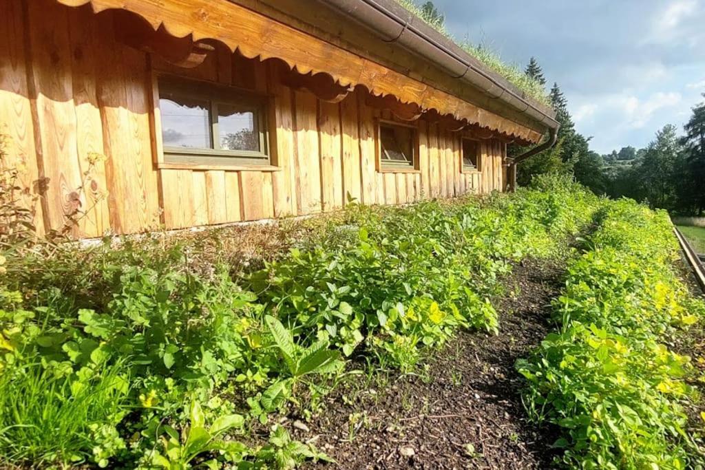 Chalet Boruvka - Biofarma Na Samote V Lesich Benesov  Exterior photo