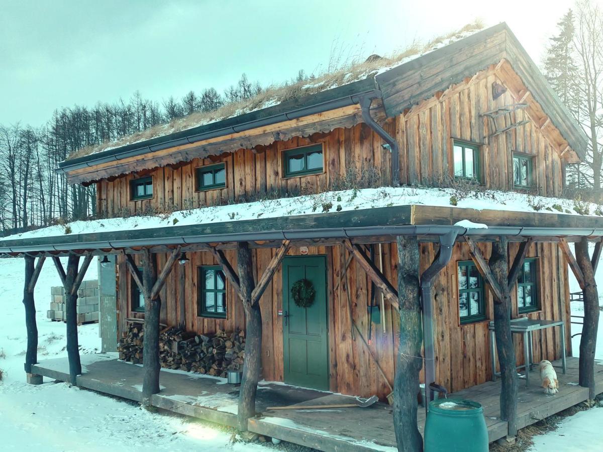 Chalet Boruvka - Biofarma Na Samote V Lesich Benesov  Exterior photo
