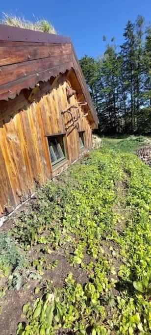 Chalet Boruvka - Biofarma Na Samote V Lesich Benesov  Exterior photo