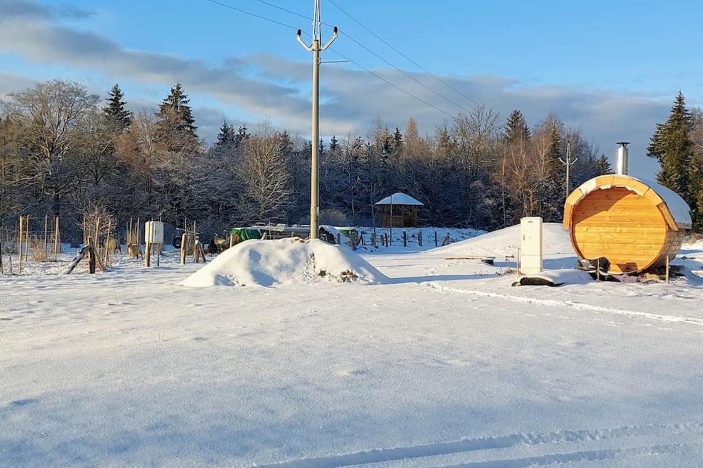 Chalet Boruvka - Biofarma Na Samote V Lesich Benesov  Exterior photo