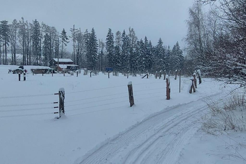Chalet Boruvka - Biofarma Na Samote V Lesich Benesov  Exterior photo