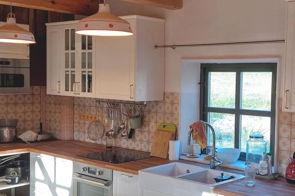 Chalet Boruvka - Biofarma Na Samote V Lesich Benesov  Exterior photo