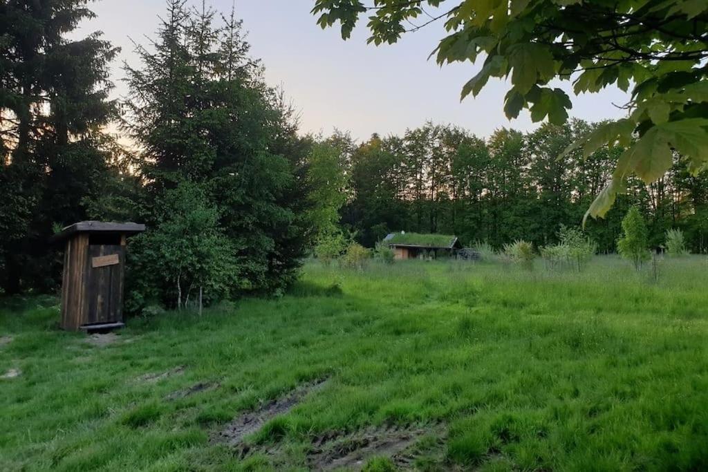 Chalet Boruvka - Biofarma Na Samote V Lesich Benesov  Exterior photo