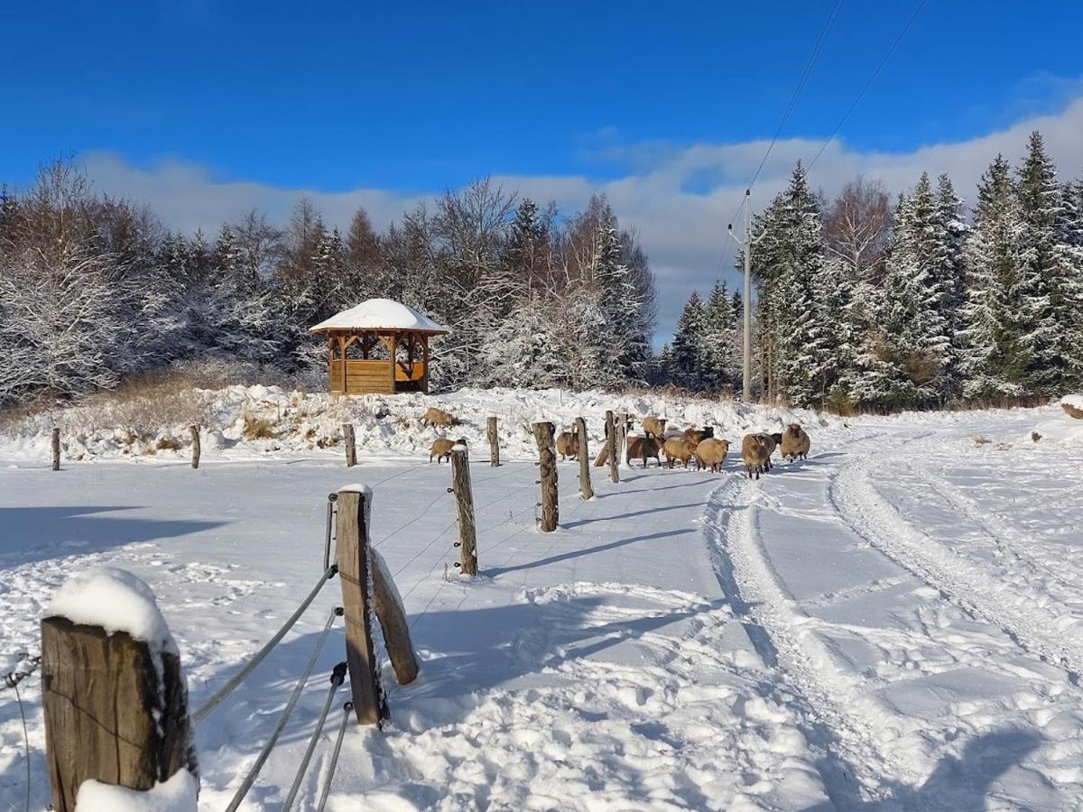 Chalet Boruvka - Biofarma Na Samote V Lesich Benesov  Exterior photo